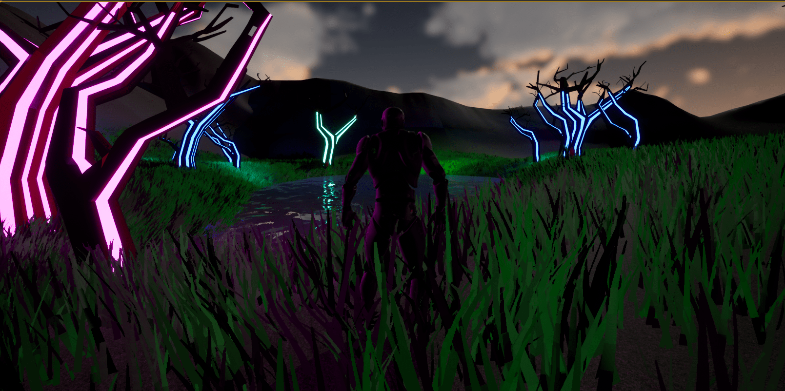 First environment